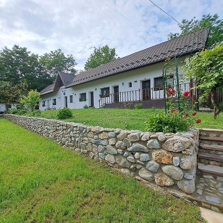 Casa Morii Ohaba Villa Luaran gambar