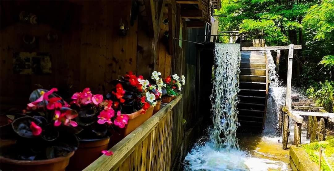 Casa Morii Ohaba Villa Luaran gambar