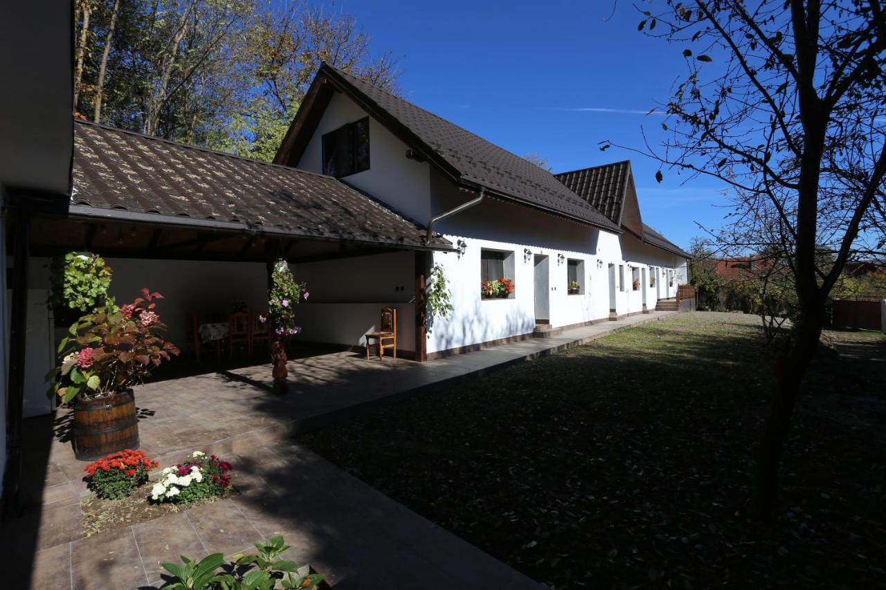 Casa Morii Ohaba Villa Luaran gambar