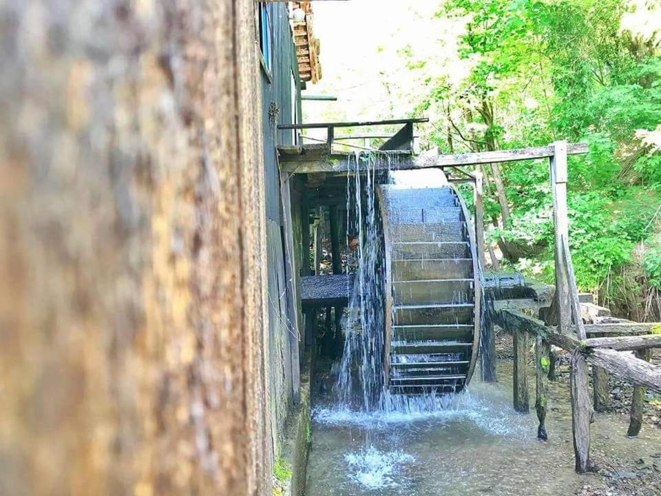 Casa Morii Ohaba Villa Luaran gambar